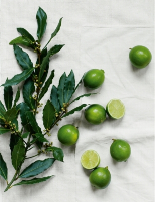 THE WHITE COMPANY: Lime Bay Botanical Medium scented mineral-wax candle 834g