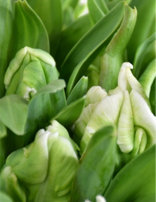 MOYSES STEVENS: Parrot Tulips fresh flower bouquet