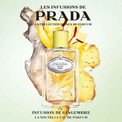 Prada Infusion Gingembre Eau De Parfum 3.4 oz Eau De Parfum Spray