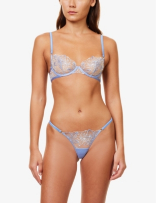 Shop Bluebella Lilly Floral-embroidered Lace Thong In Hydrang Blue/i Water Blu
