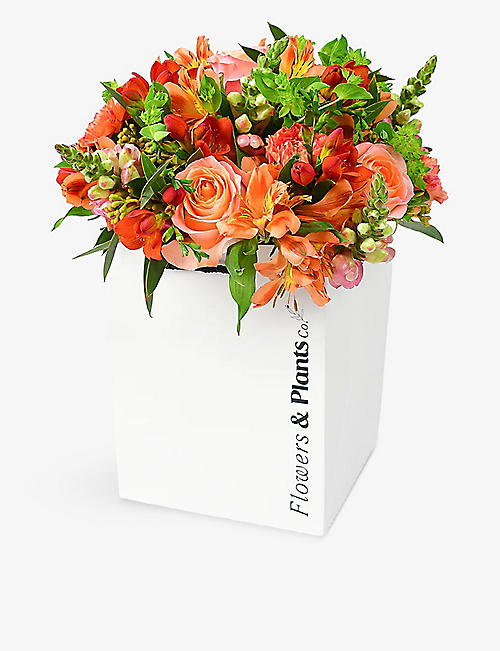 FLOWERS & PLANTS CO.: Snapdragon fresh flower bouquet