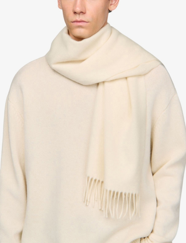 Fringed-trim wool and cashmere-blend scarf