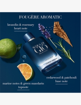 Giorgio Armani Womens Acqua Di Giò Profondo Eau De Parfum 100ml