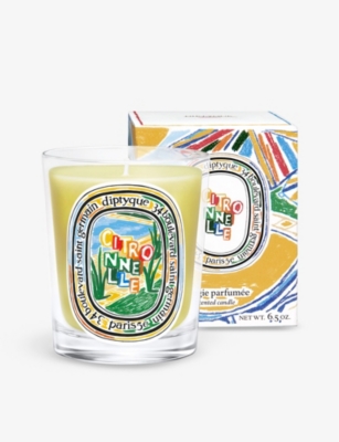 Citronnelle scented wax candle 190g