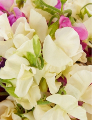 Mixed Medium Sweet Pea scented bouquet