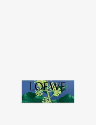 Loewe Ivy Solid Scented Soap Bar 290g