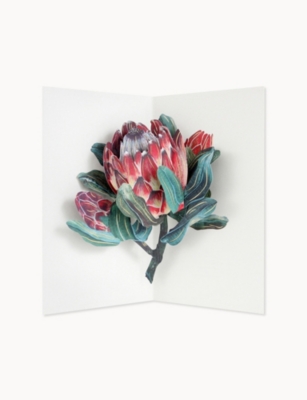OHH DEER: Protea 3D Layer Greeting Card 17.7 x 12.7cm