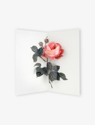 OHH DEER: Rose 3D Layer Greeting Card 17.7 x 12.7cm