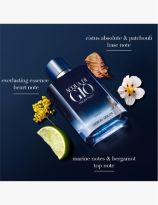 Giorgio Armani Womens Acqua Di Giòprofondo Eau De Parfum