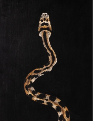 Snake Flora Hand-Painted Iron Tray
