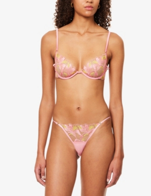 Bluebella Womens Dianthus Pink Patrice Floral Lace Briefs In Purple
