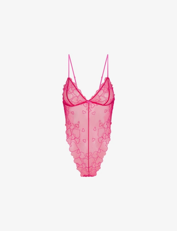 Embroidered Sheer Tulle Teddy