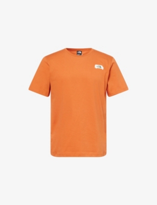 THE NORTH FACE MENS BROWN OUTDOOR GRAPHIC-PRINT COTTON-JERSEY T-SHIRT 