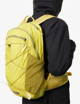 PATAGONIA: Terravia Shell Backpack 22L