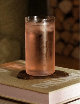 Fable Clear Transparent Set Of Four Tall Glasses In Clear