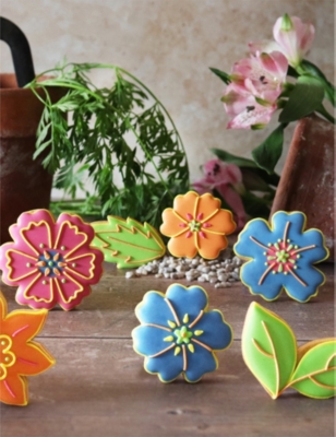 BISCUITEERS: Flowers Medium Biscuit Tin 120g