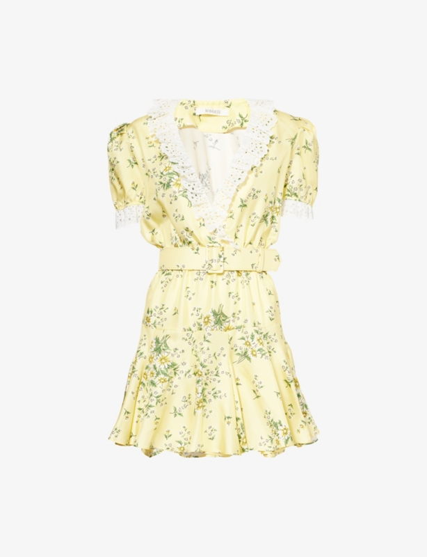 Daisy Floral-Print Silk-Twill Mini Dress