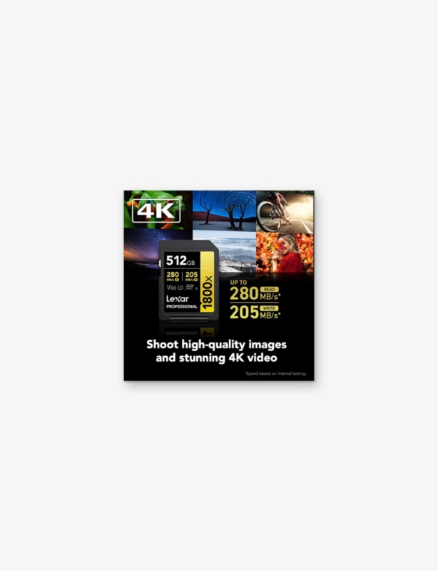 SDXC Professional 512GB