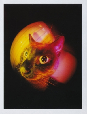 LOMOGRAPHY: Instant Mini Camera