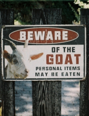 LOMOGRAPHY: LomoChrome Colour ’92 Sun-Kissed 110 ISO 400 Film