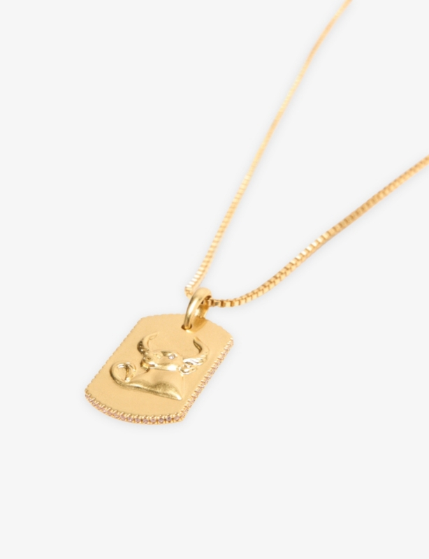 Zodiac-Plaque Metal Necklace
