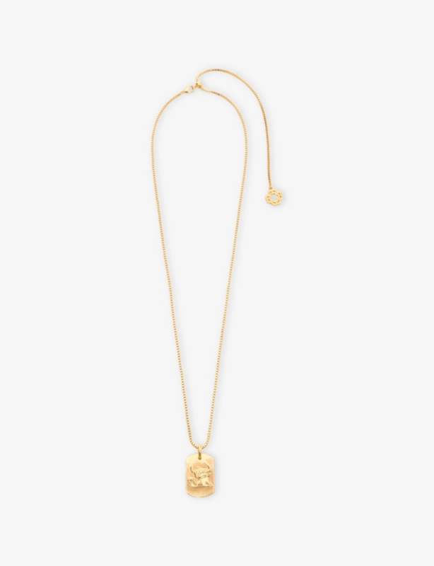 Zodiac-Plaque Metal Necklace