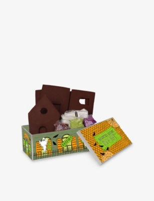 Biscuiteers Haunted House Diy Kit 650g