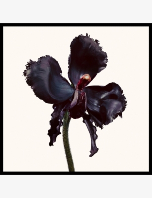 Tom Ford Womens Black Orchid Reserve Parfum