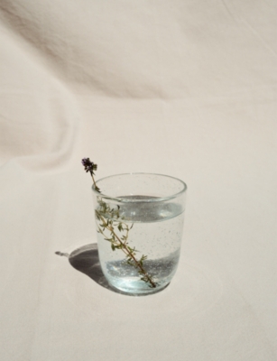 Serax Pure Glass Pascale Naessens Glass Transparent In Transparent