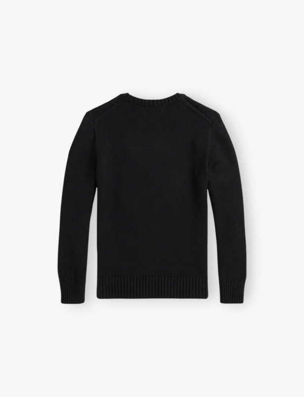 Polo Bear Cotton Knit Jumper 6-14 Years