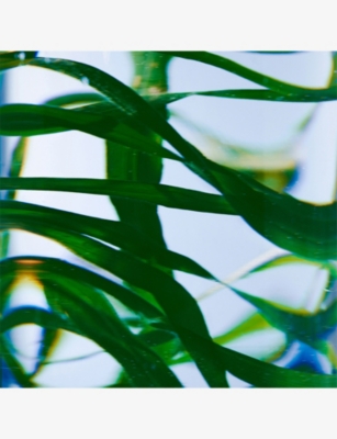 BYREDO: Vetyver Hand Lotion Refill 450ml