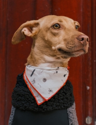 ST PIA: Gazette Large Cotton Pet And Human Bandana