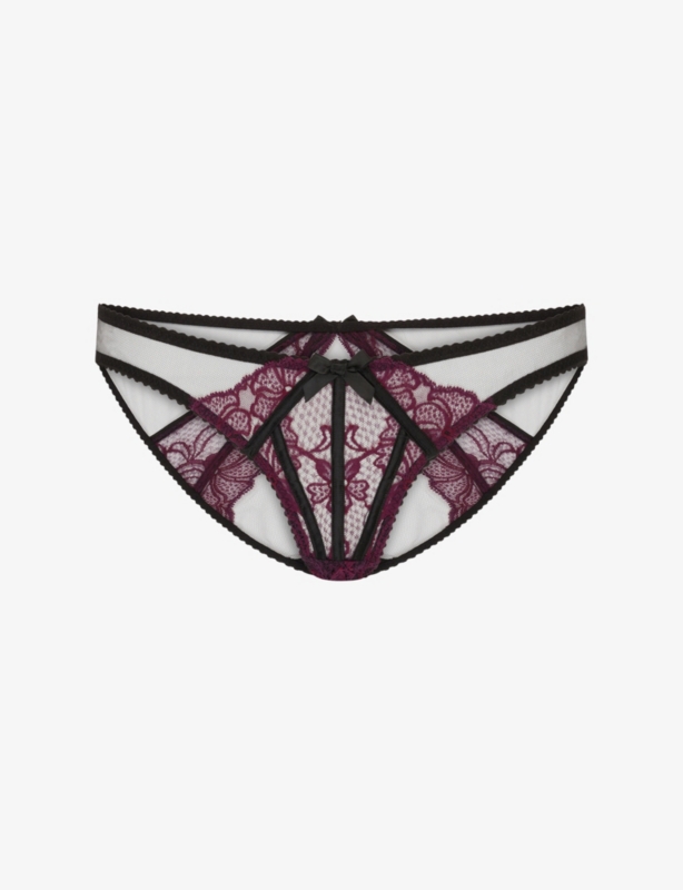 Rozlyn Bikini Mesh and Lace Briefs
