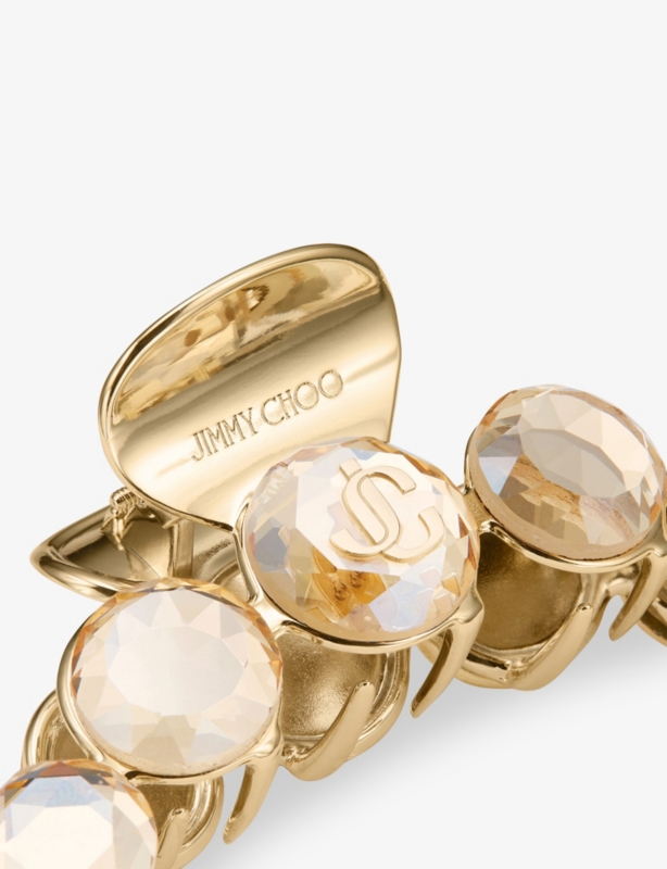 Crystal Metal Claw Hair Clip