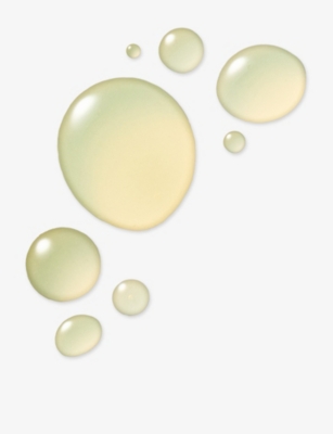 Wonder Valley Rosemary Hair Oil 30ml In Transparent